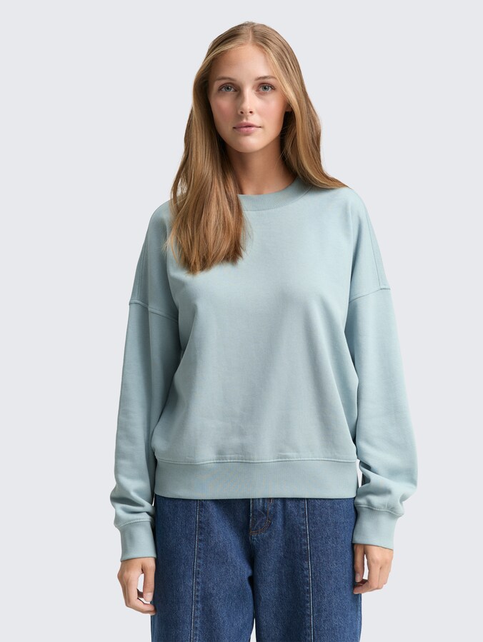 Loose Fit Sweatshirt von Denim Female, Silver Cloud Blue