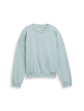 Ausgewählt, Loose Fit Sweatshirt von Tom Tailor, blau