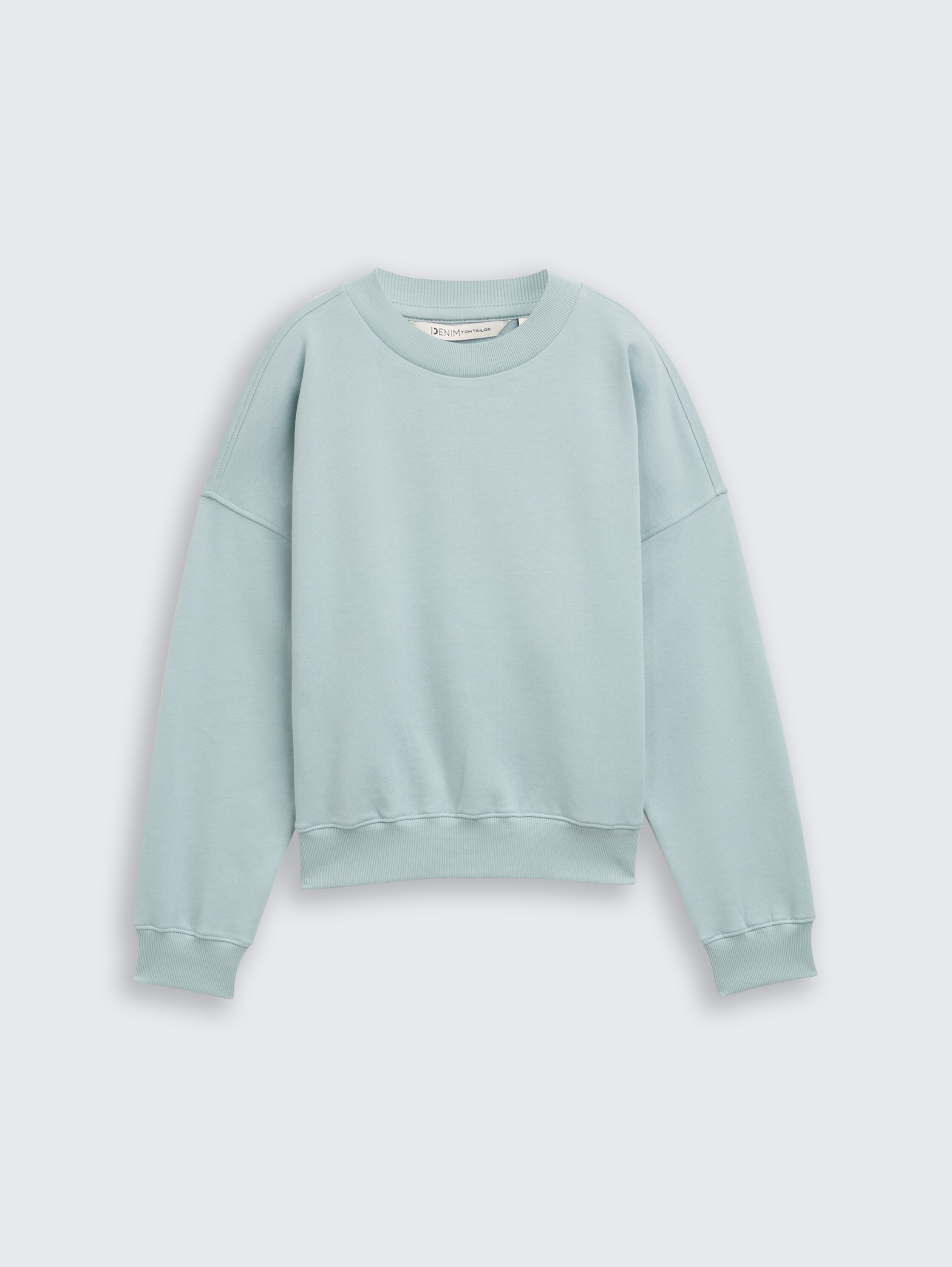 Loose fit sweatshirt - silver_cloud_blue - 