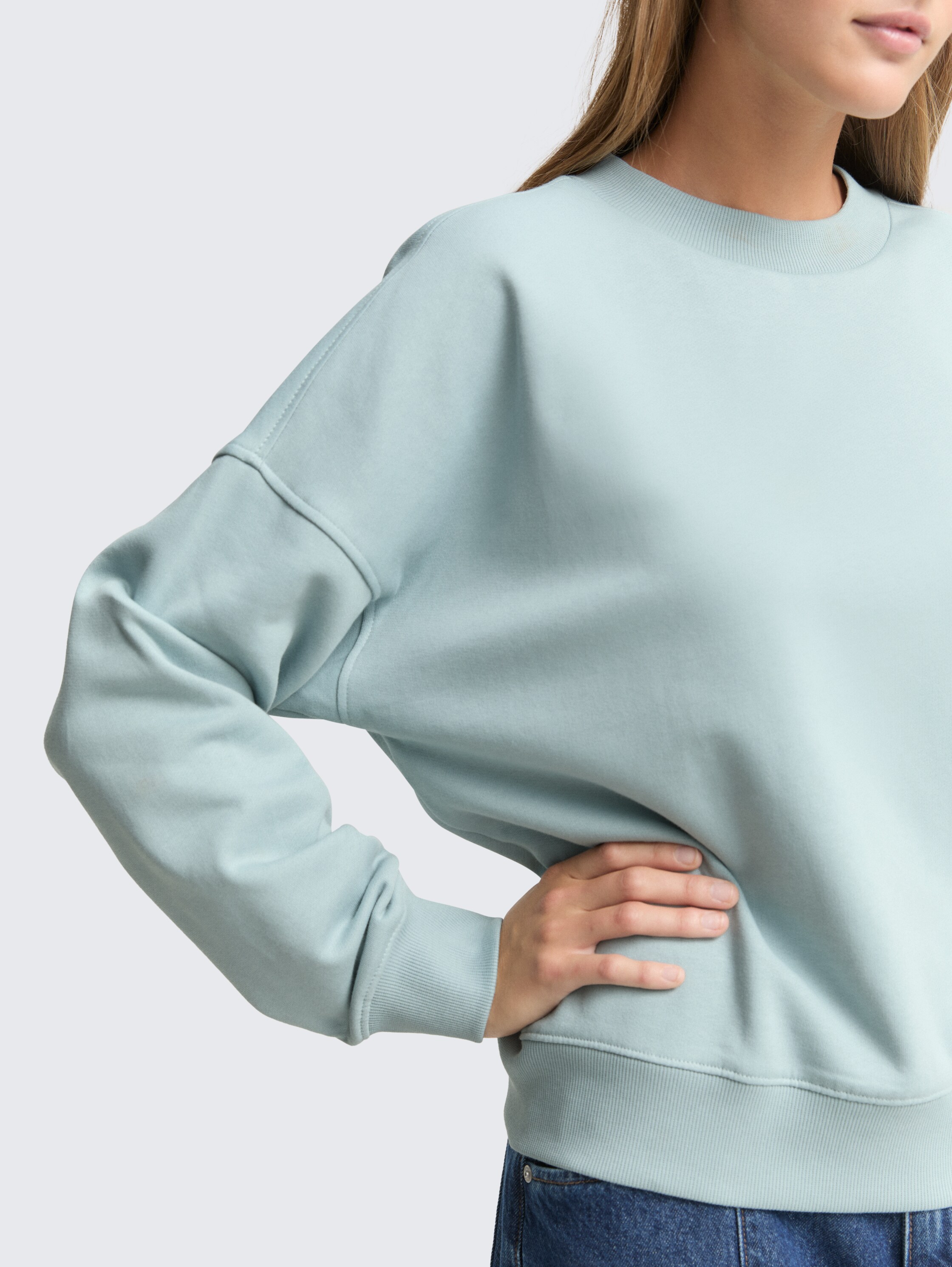 Loose fit sweatshirt - silver_cloud_blue - 