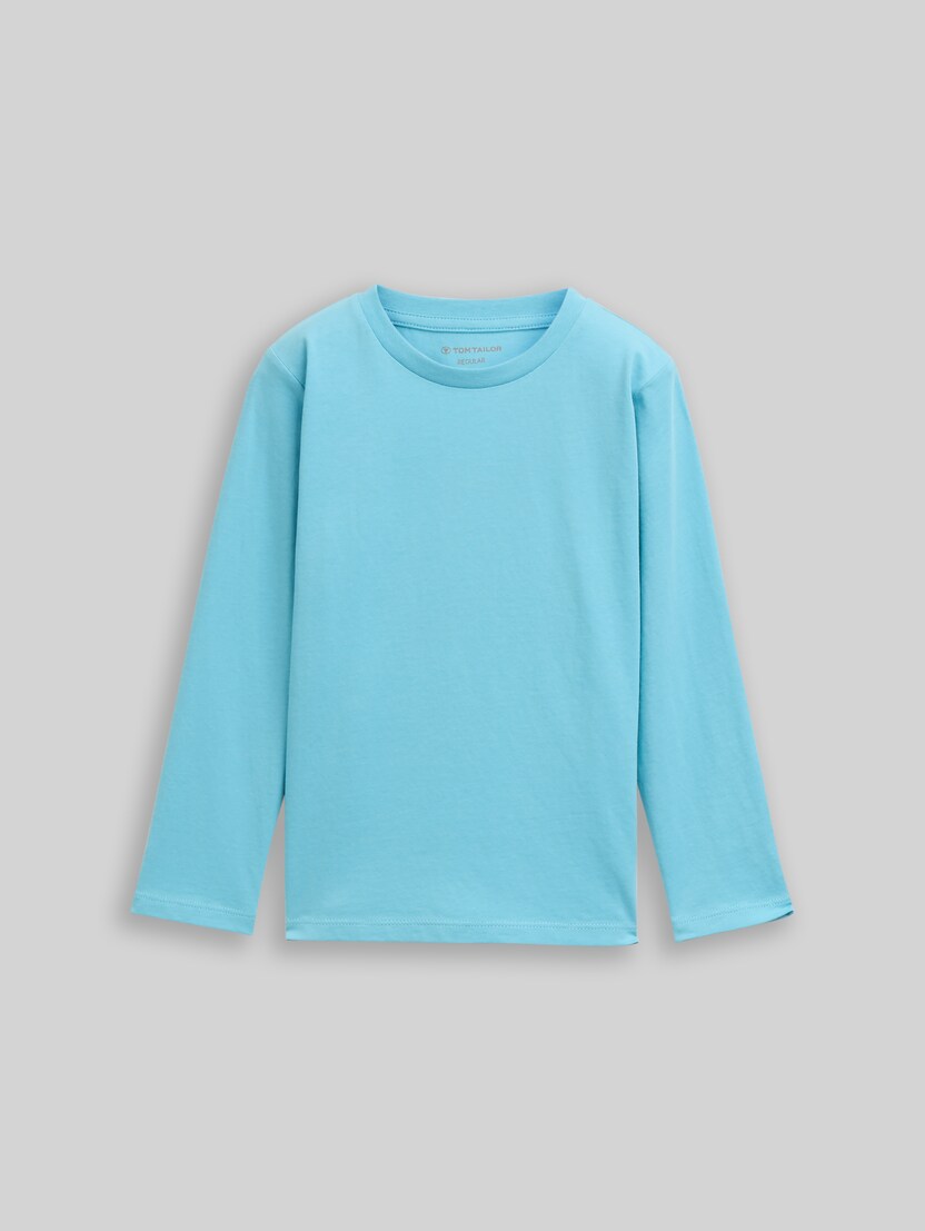Langarmshirt mit Rückenprint von Mini Boys, elixir blue