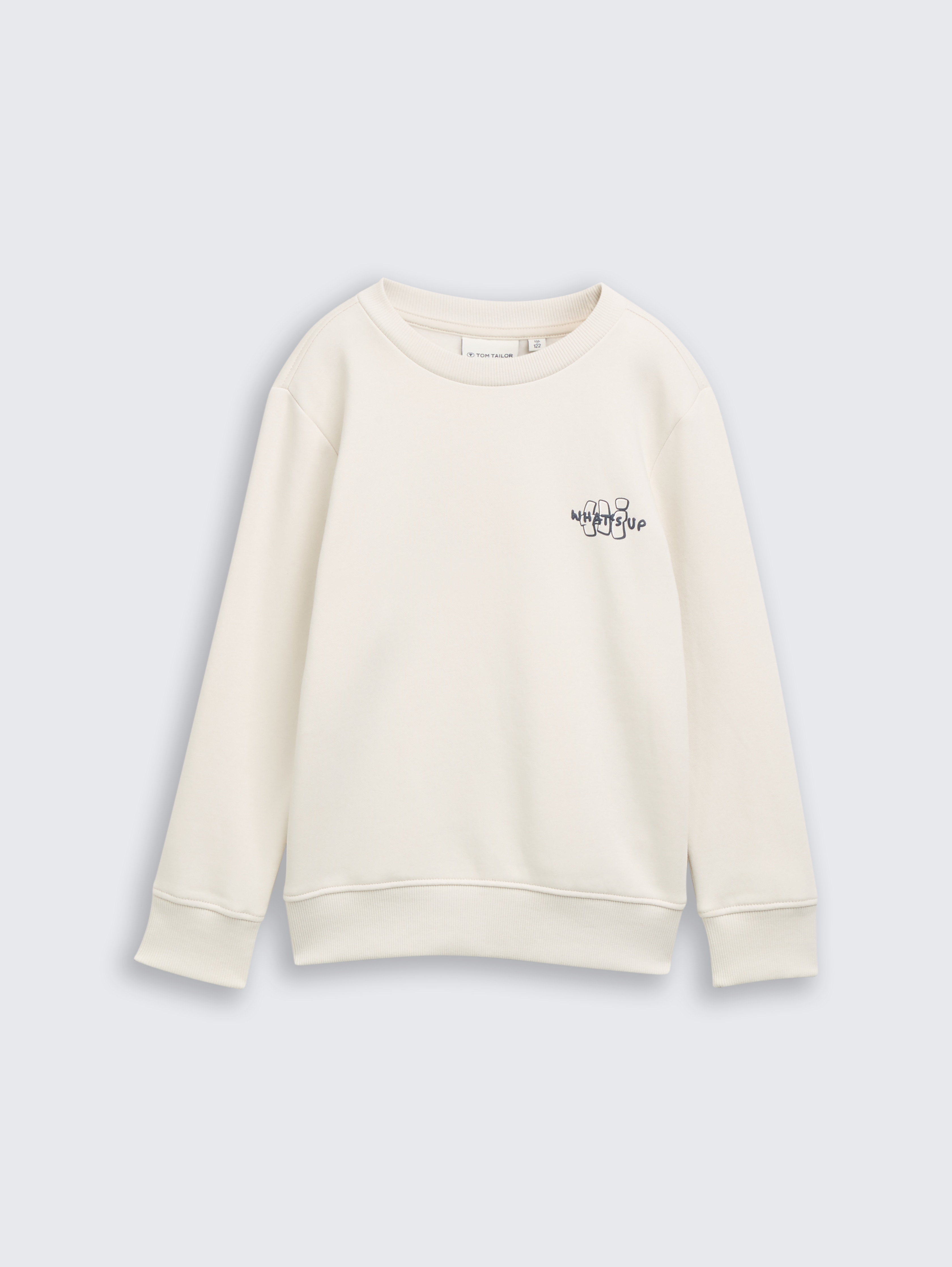 Sweatshirt mit Print von Mini Boys, greyish white