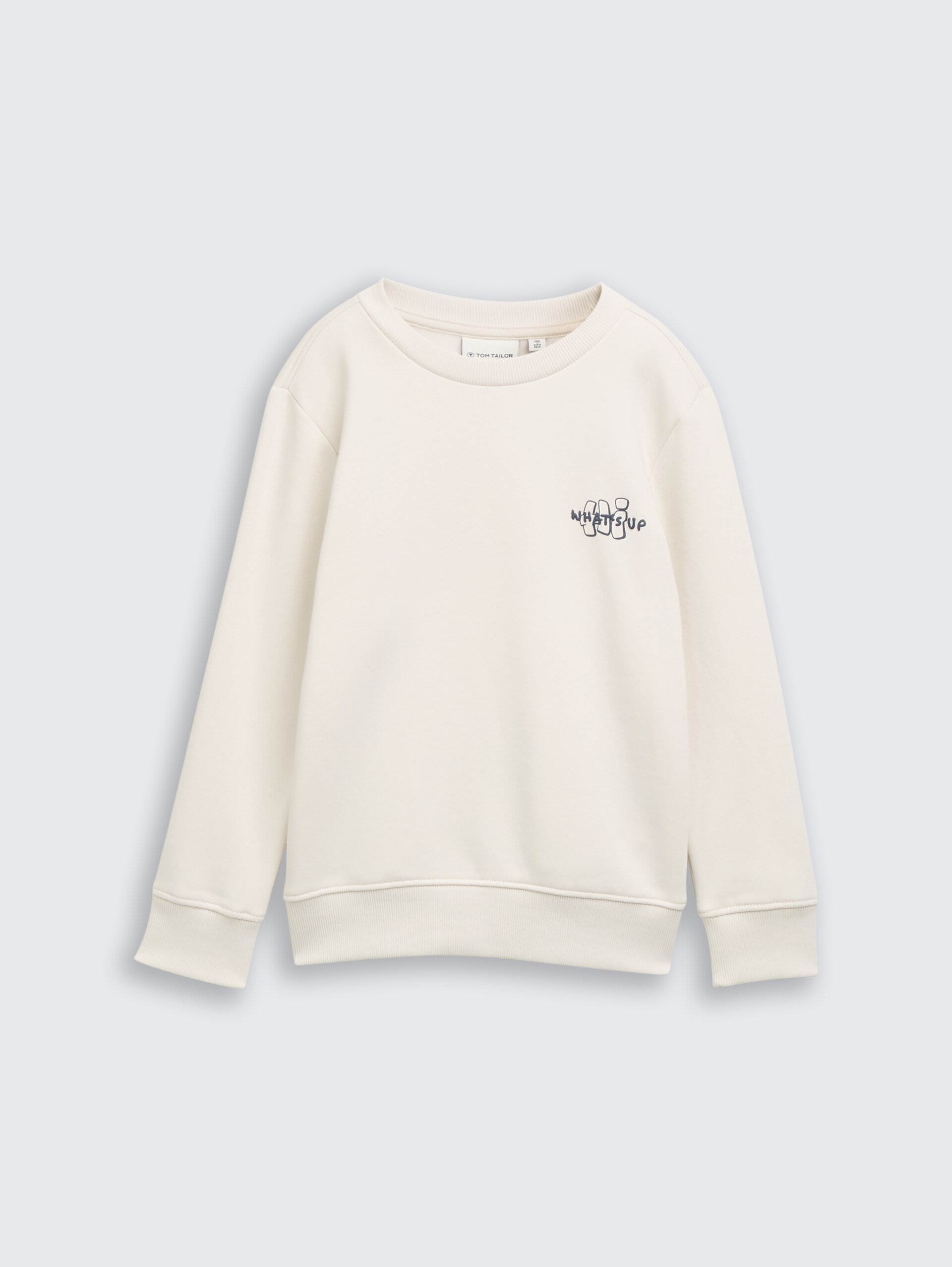 Sweatshirt mit Print - greyish white - Vorder-Produkt-Ansicht