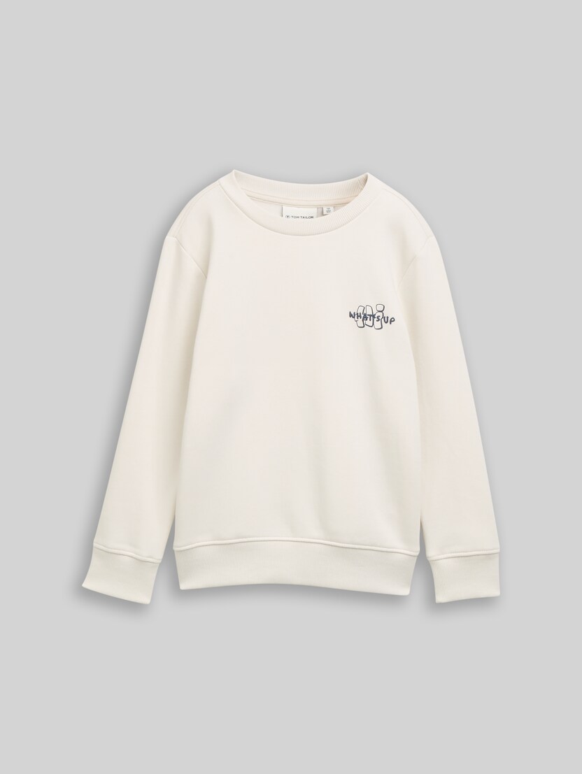 Printed sweatshirt by Mini Boys, greyish white