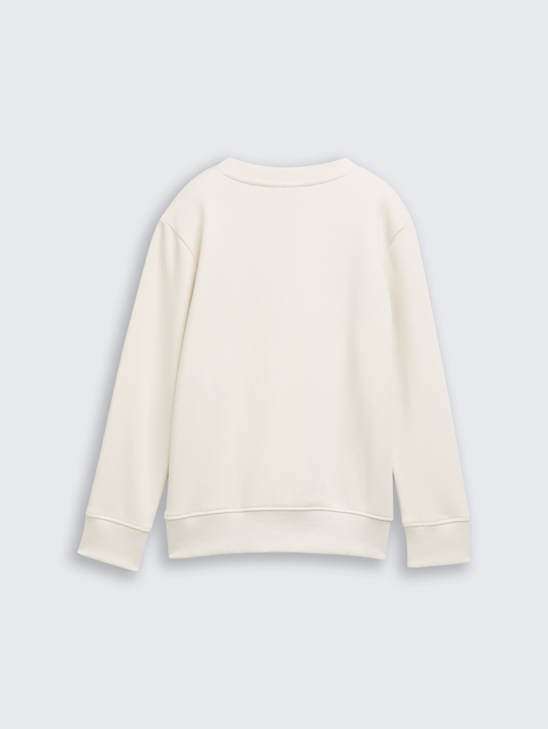 Sweatshirt with print - greyish_white - 