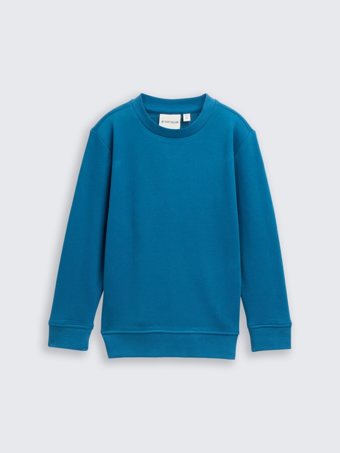 Basic sweatshirt met print op de rug door Mini Boys, Dark Tile Green