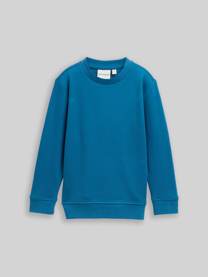 Basic sweatshirt met print op de rug door Mini Boys, Dark Tile Green