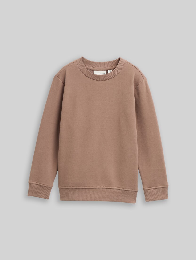 Basic sweatshirt with back print by Mini Boys, taupe grey