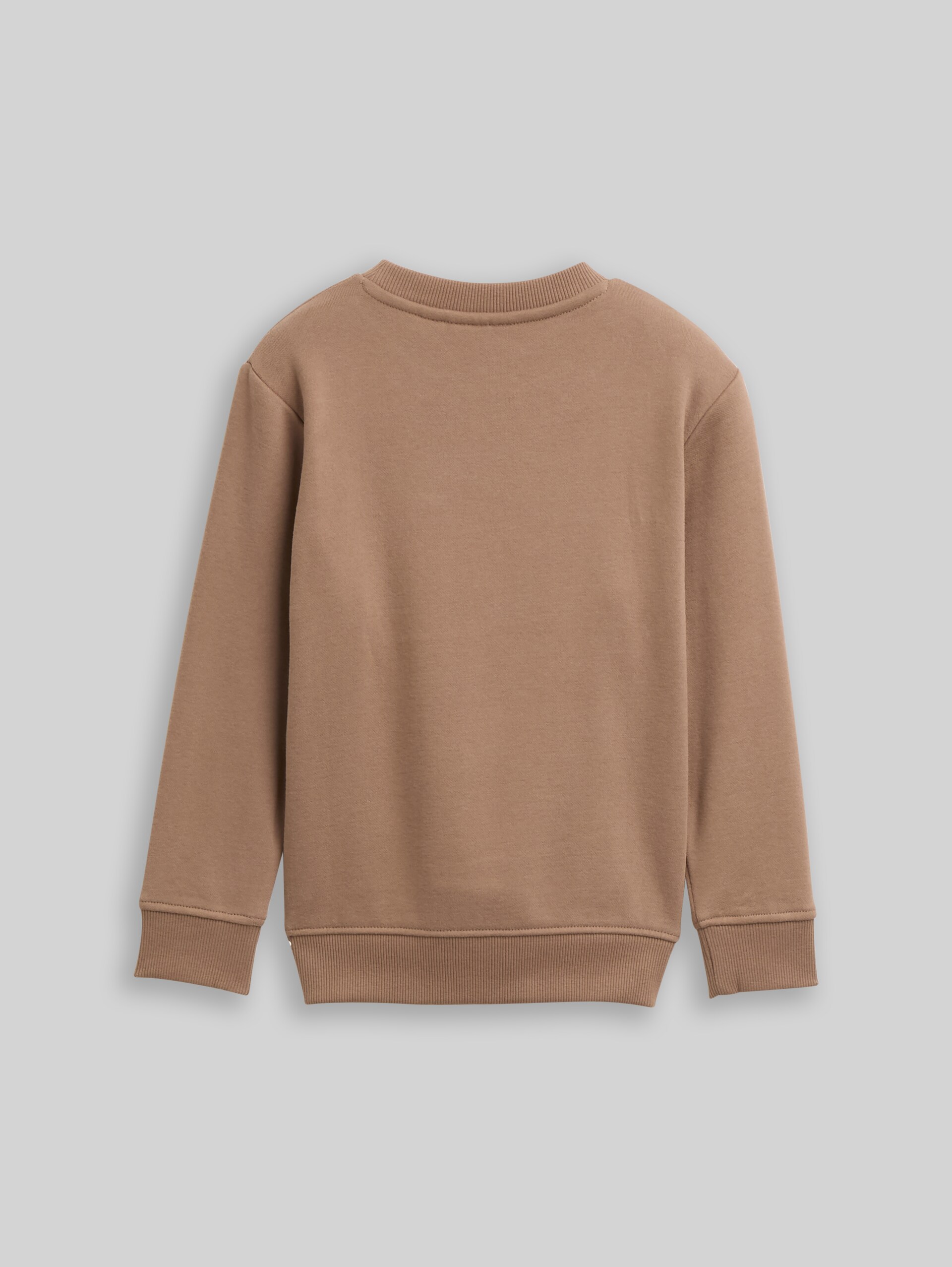 Basic sweatshirt with print - taupe grey