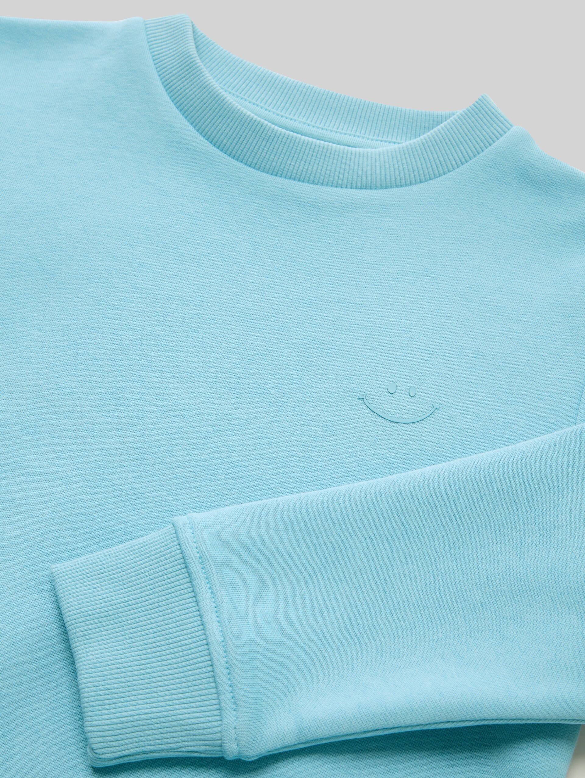 Basic Sweatshirt mit Print - elixir blue - Detail-Model-Ansicht