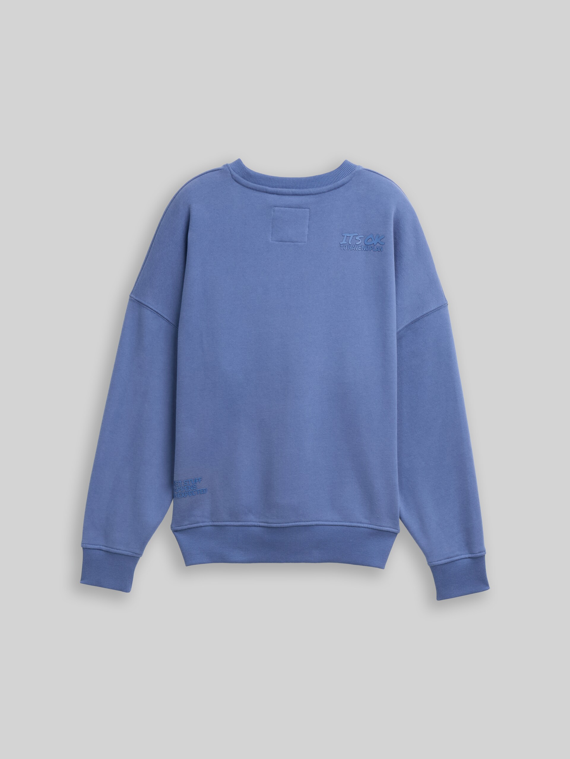 Oversized sweatshirt with back print - dusty faded blue