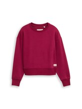 Geselecteerd, Basic sweatshirt met badge door Tom Tailor, rood