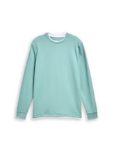 Nicht ausgewählt, Langarmshirt im 2-in-1-Look von , grün