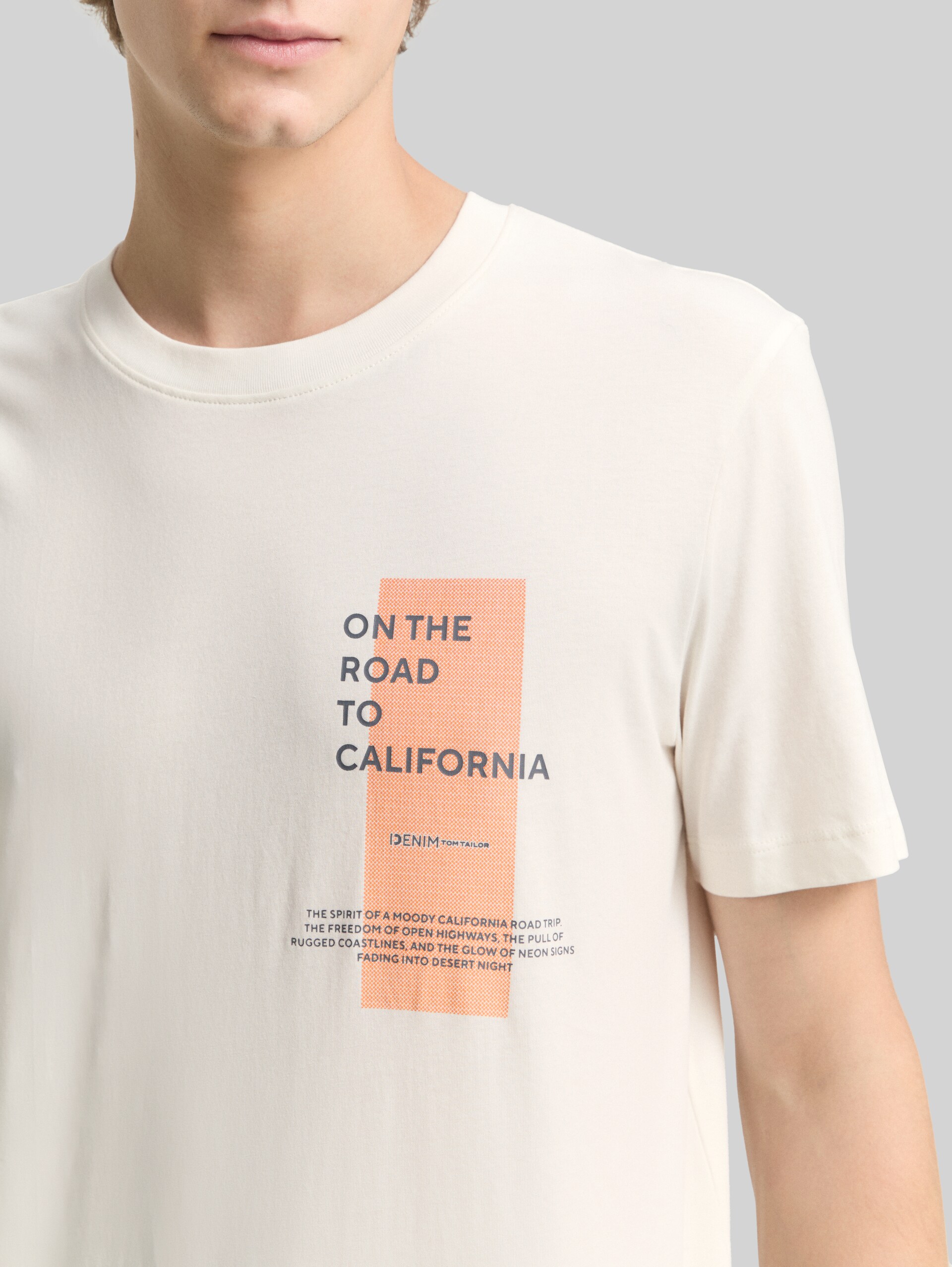 T-shirt with print - Wool White - Detail model view