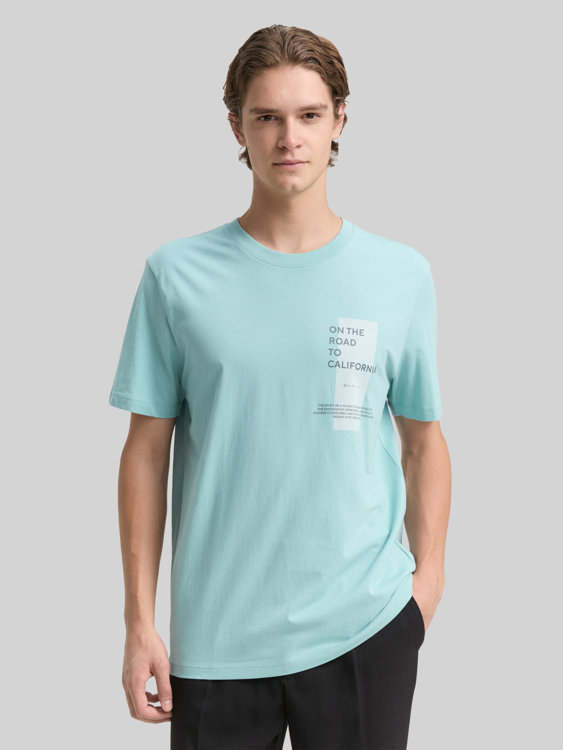 T-shirt with print - dusty horizon mint - Neckline model front view