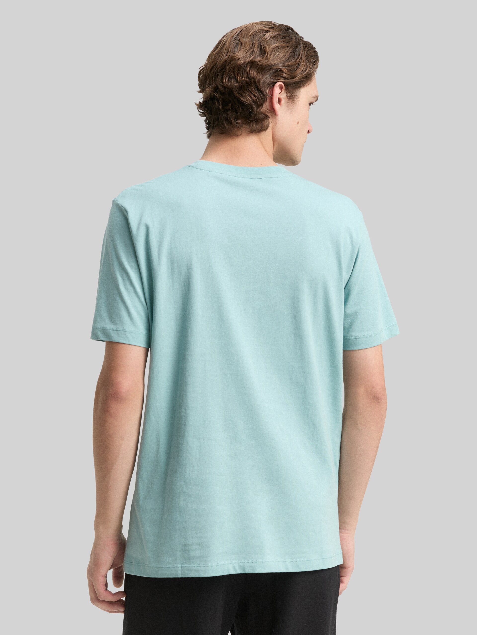 T-shirt with print - dusty horizon mint - Neckline model-back view