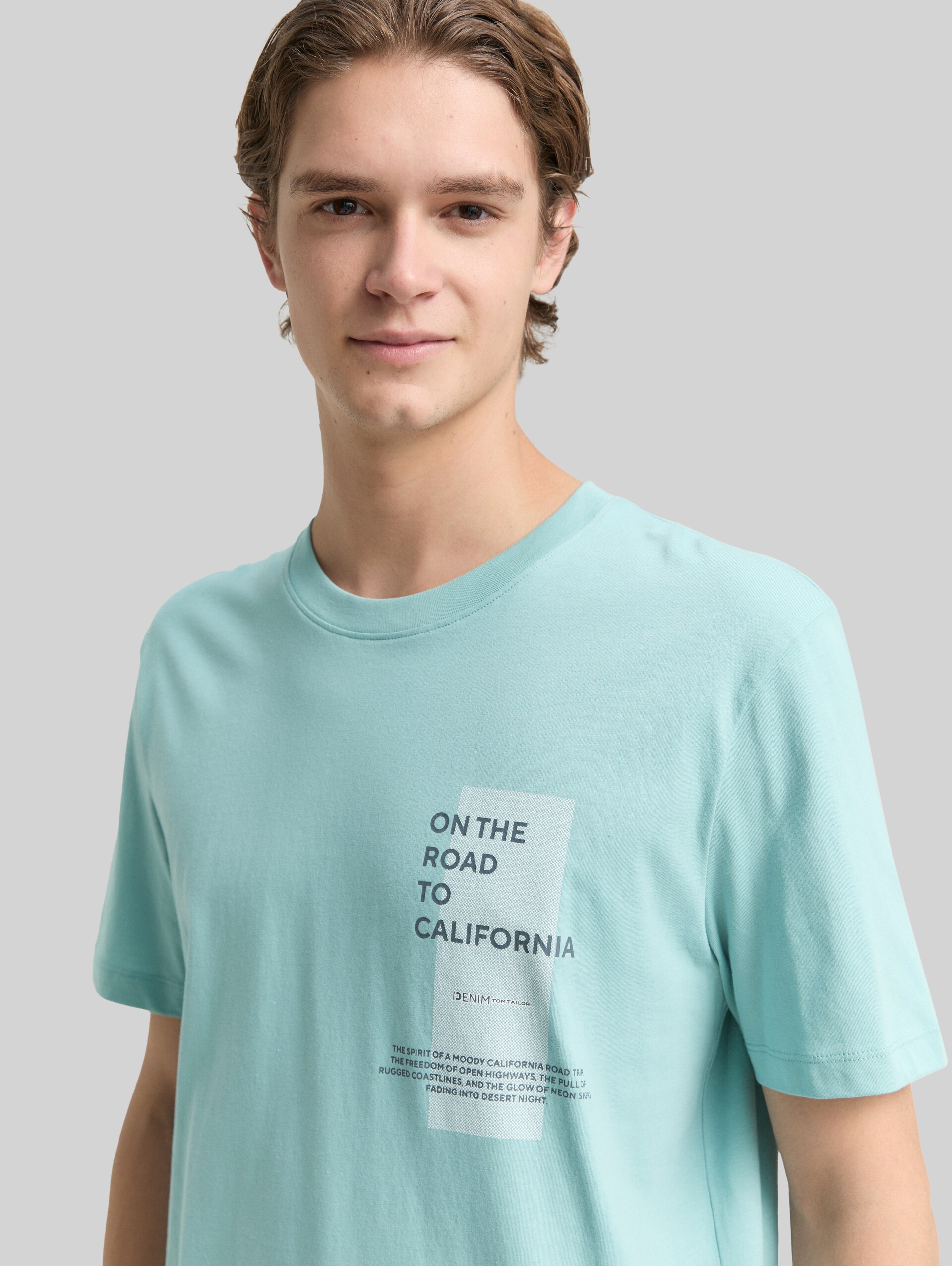 T-shirt with print - dusty horizon mint - Detail model view