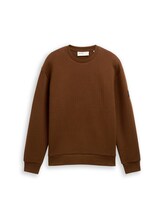 Ausgewählt, Sweatshirt mit Logo-Badge von Tom Tailor, braun