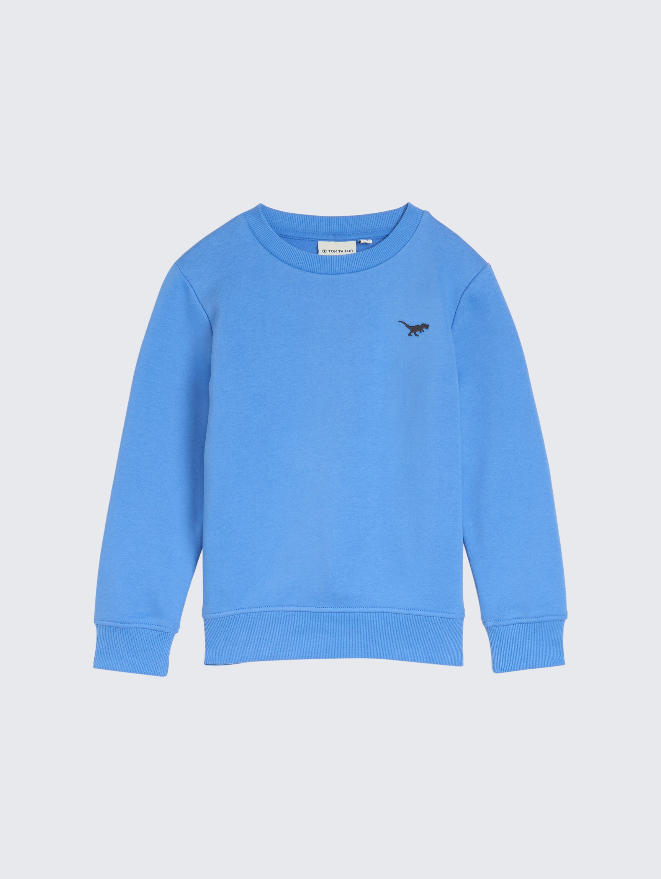 Sweatshirt mit Stickerei - blau - Vorder-Produkt-Ansicht