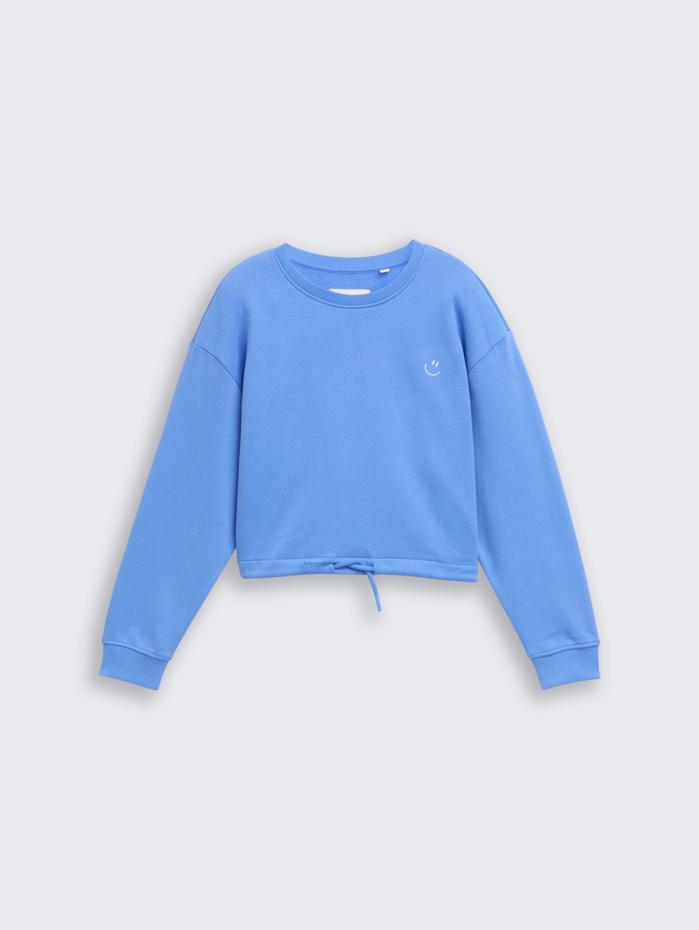 Cropped sweatshirt with embroidery - sicilian_blue - 