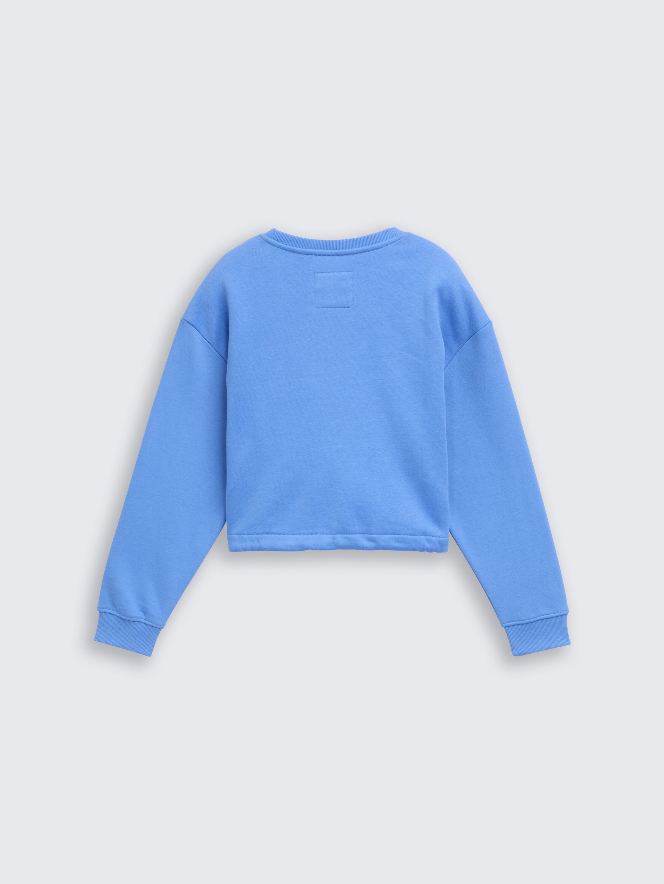 Cropped sweatshirt with embroidery - sicilian_blue - 
