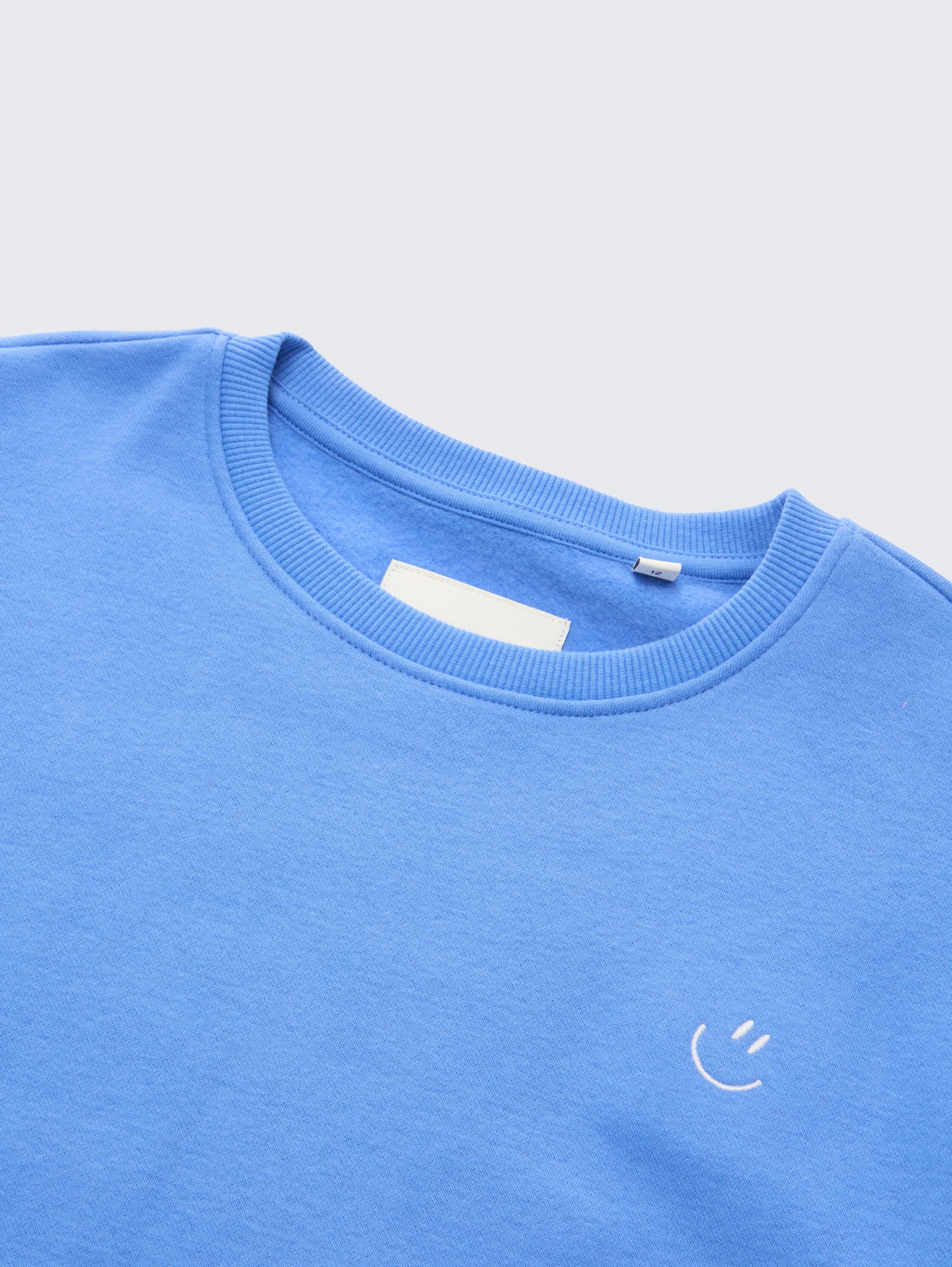 Cropped sweatshirt with embroidery - sicilian_blue - 