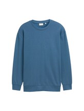 Ausgewählt, Plus Size - Basic Sweatshirt in Unifarben von Tom Tailor, blau