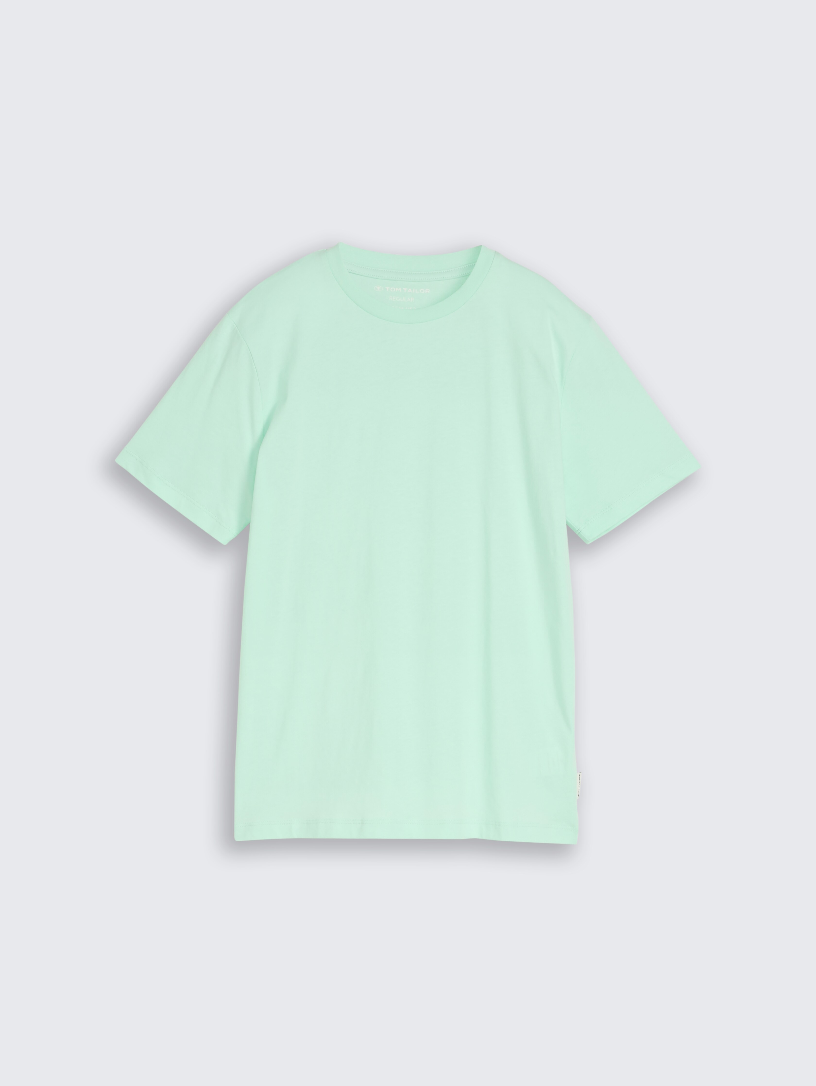 T-Shirt mit Print von Teen Boys, soft sugar green