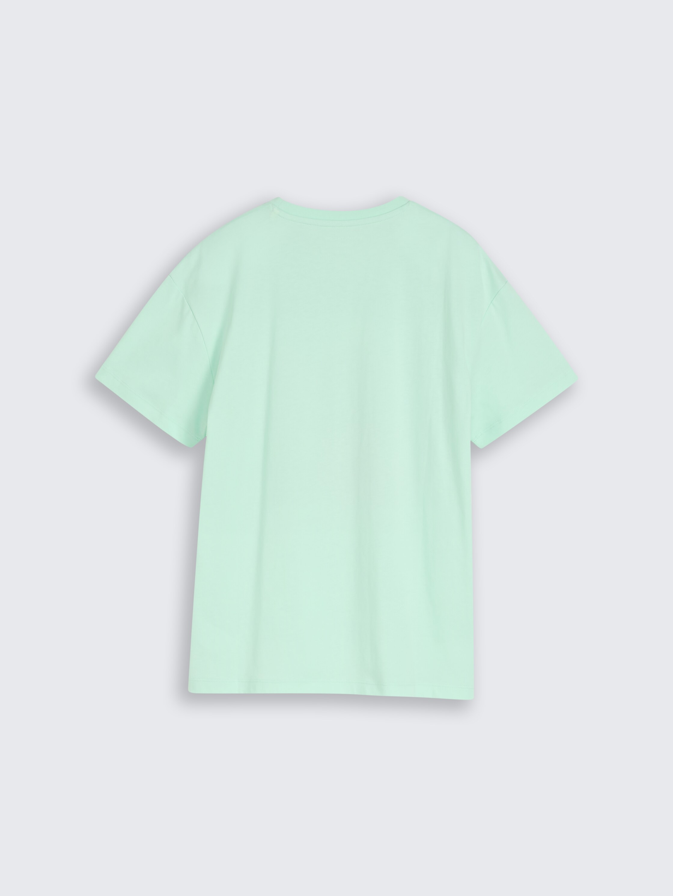Oversize T-Shirt mit Print - soft_sugar_green - 