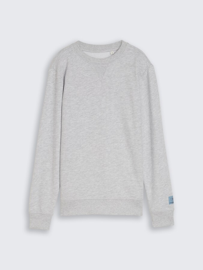 Basic sweatshirt door Teen Boys, Light Stone Grey Melange