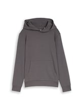 Ausgewählt, Hoodie Sweatshirt mit Rückenprint von Tom Tailor, grau