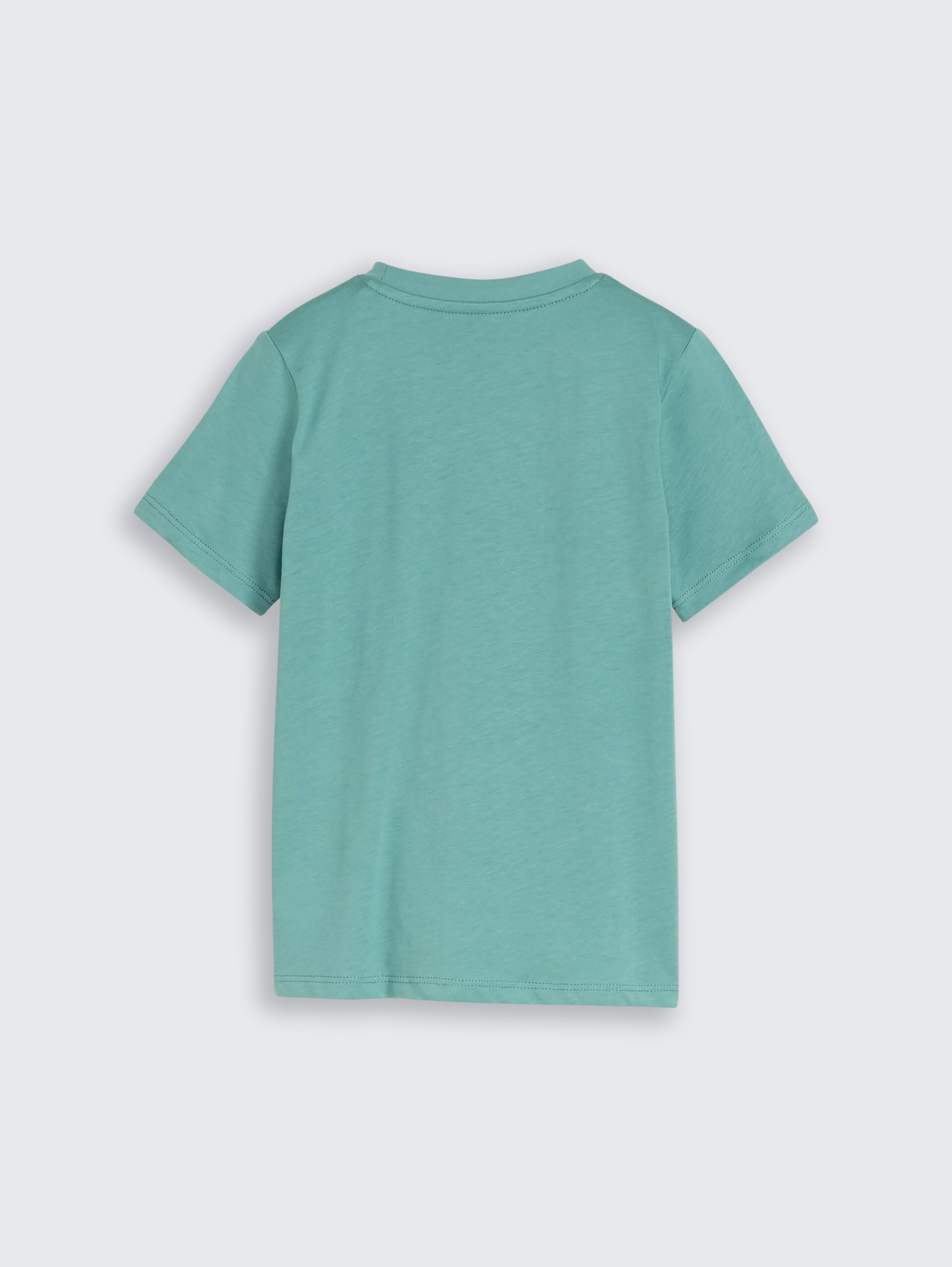 T-Shirt mit Foto-Print - Salvia