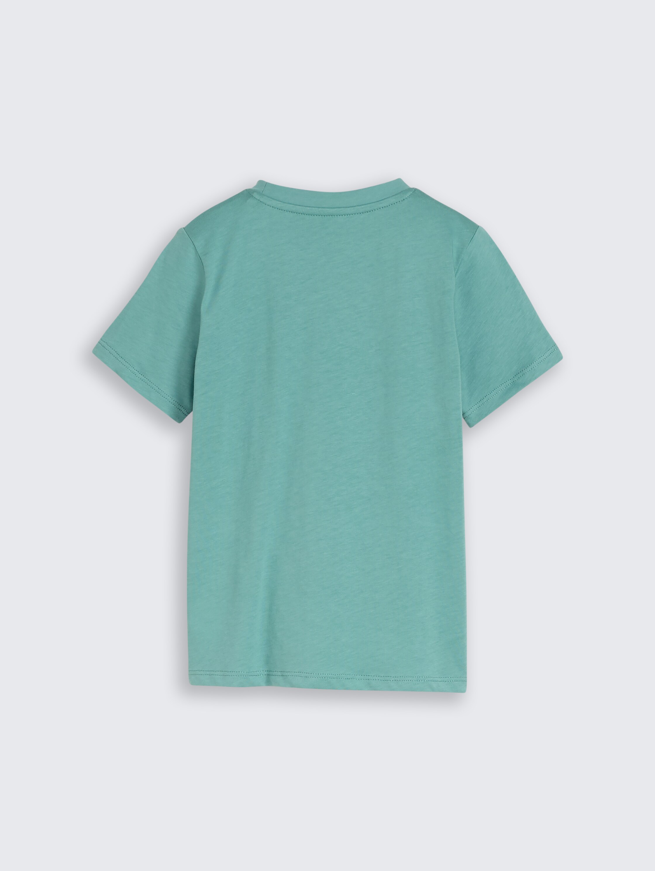 T-shirt avec imprimé photo - Salvia