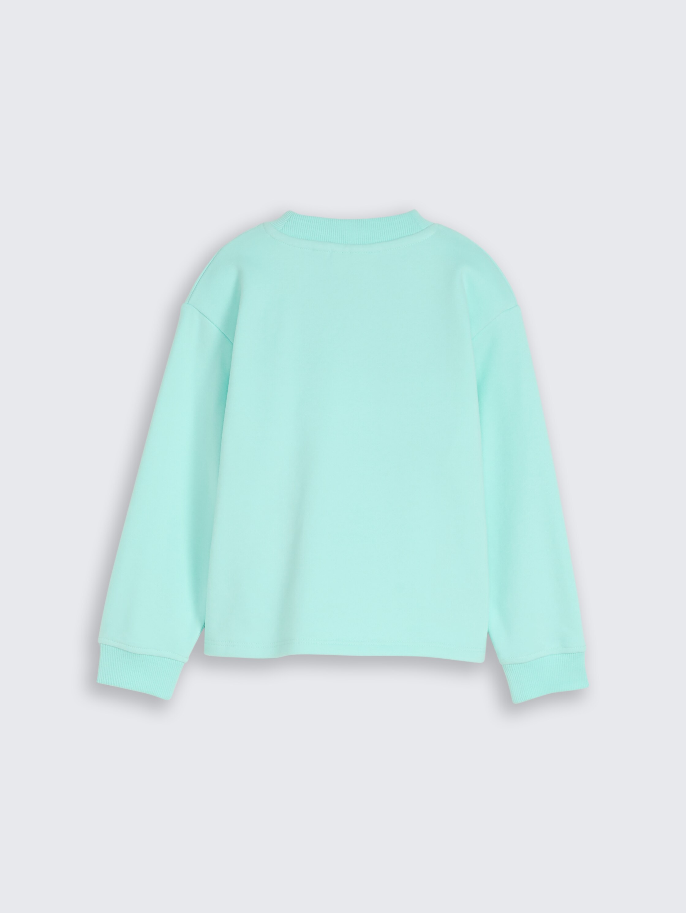 Sweater met omkeerbare pailletten - Light Mint