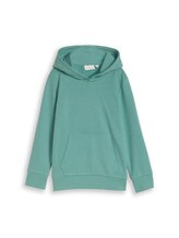 Niet geselecteerd, Hoodiesweatshirt met print op de rug door , groen