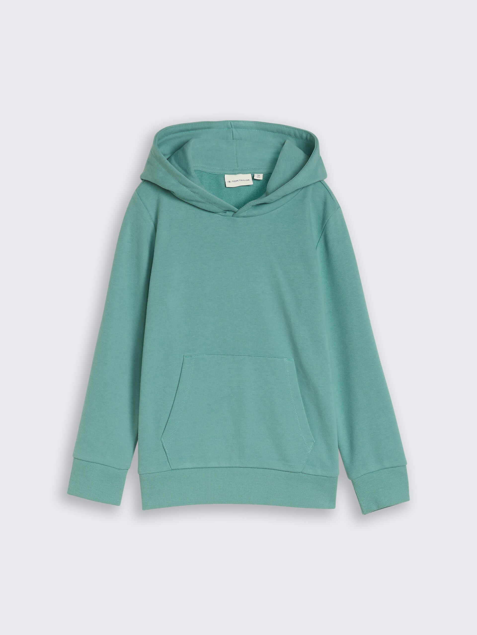 Hoodie met print op de rug - Salvia - Product vooraanzicht