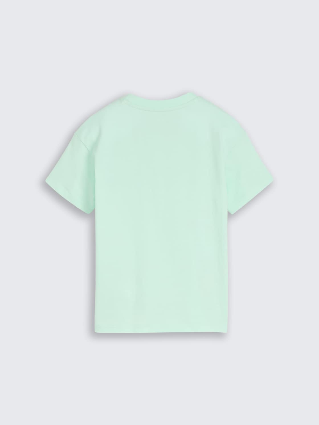 Oversize T-Shirt mit Rückenprint - light bay green