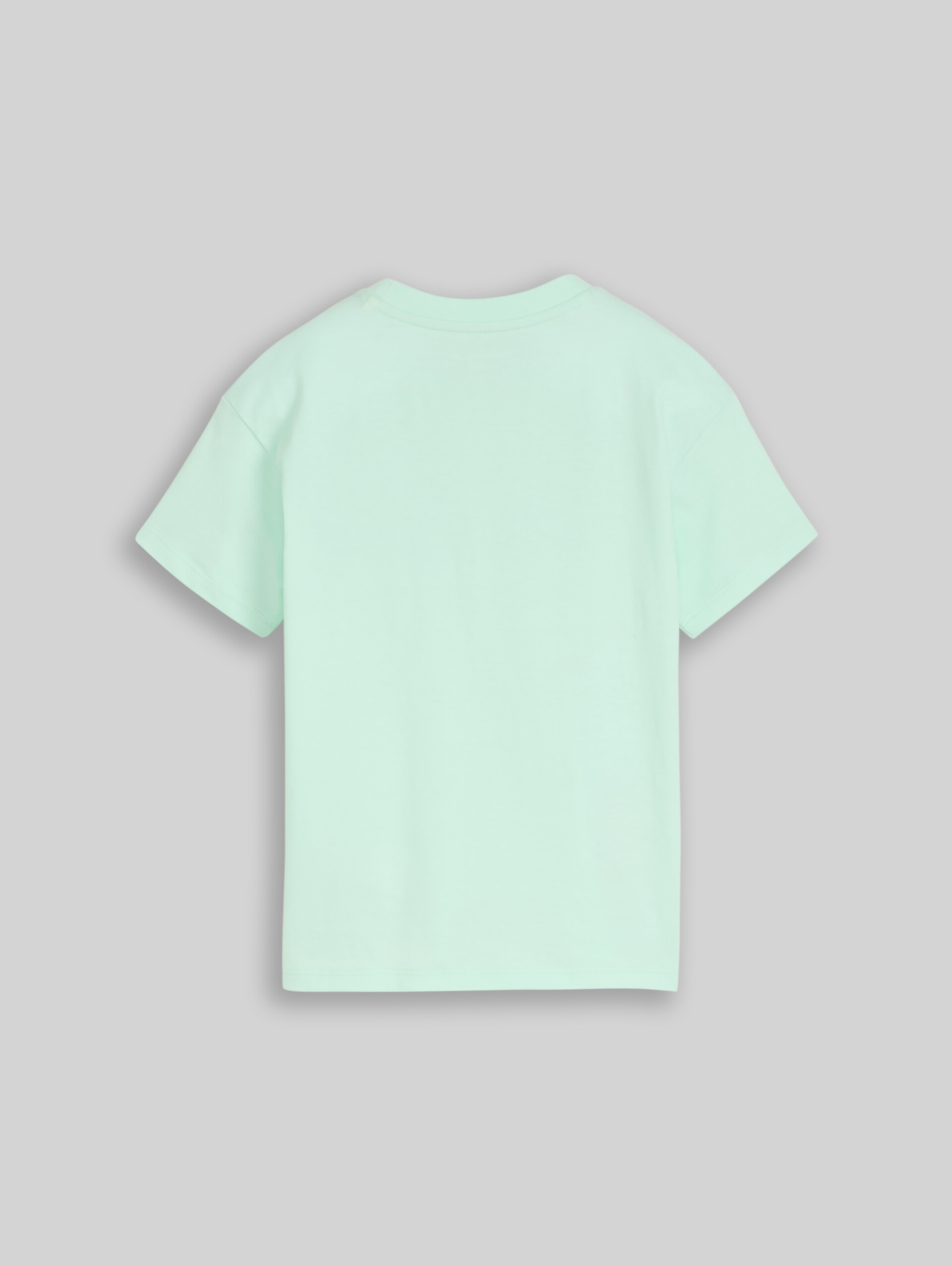 Oversize T-Shirt mit Rückenprint - light bay green