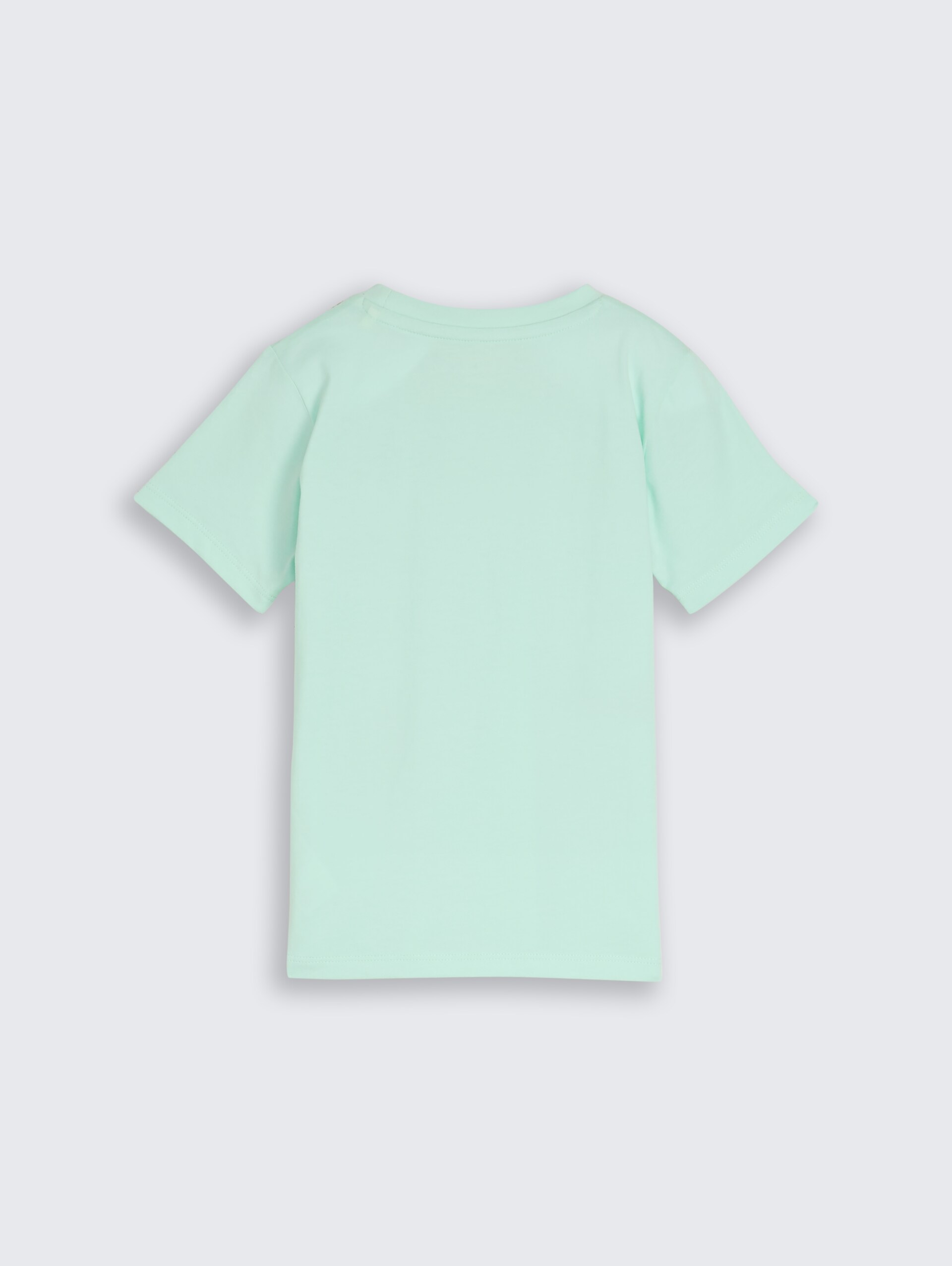 T-shirt with photo print - light bay green