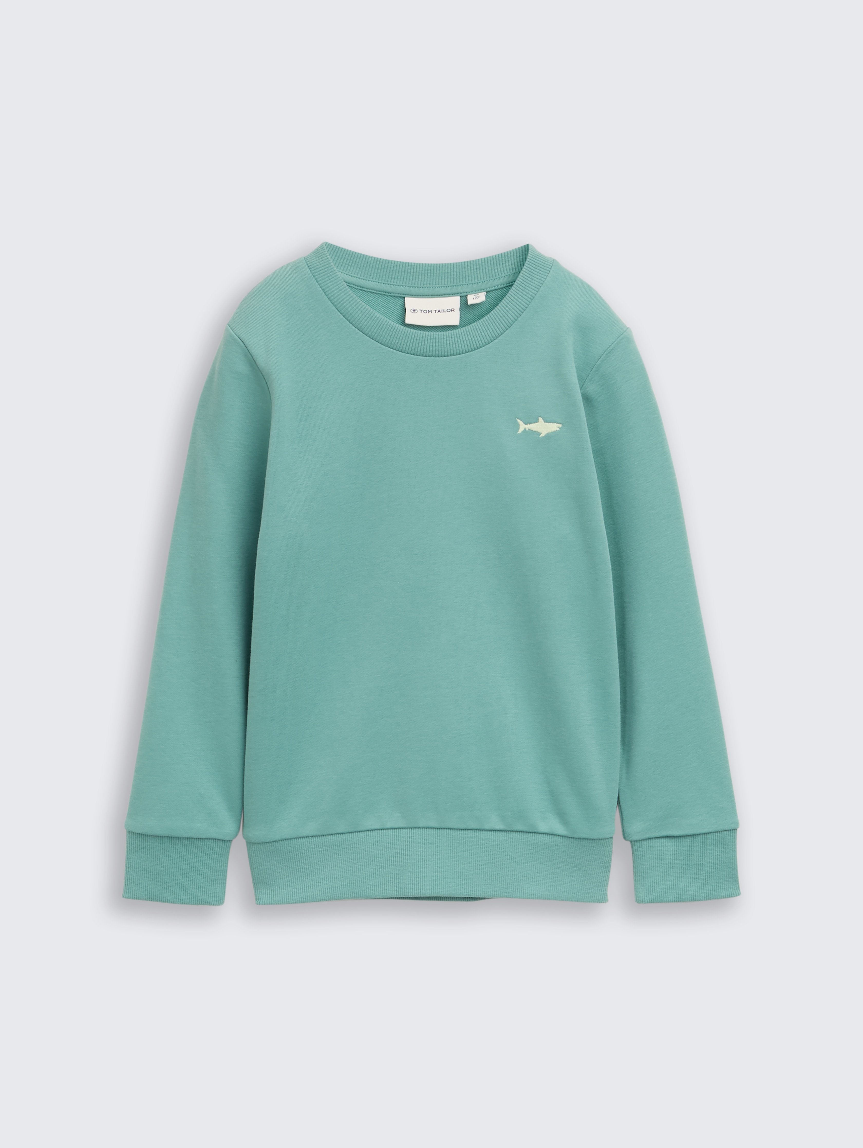 Basic Sweatshirt mit Print von Mini Boys, Salvia
