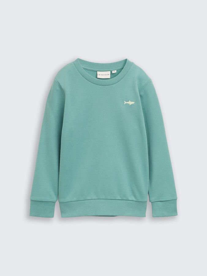 Basic sweatshirt met print door Mini Boys, Salvia