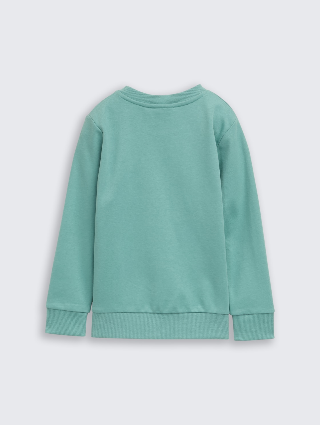 Basic sweatshirt with print - Salvia