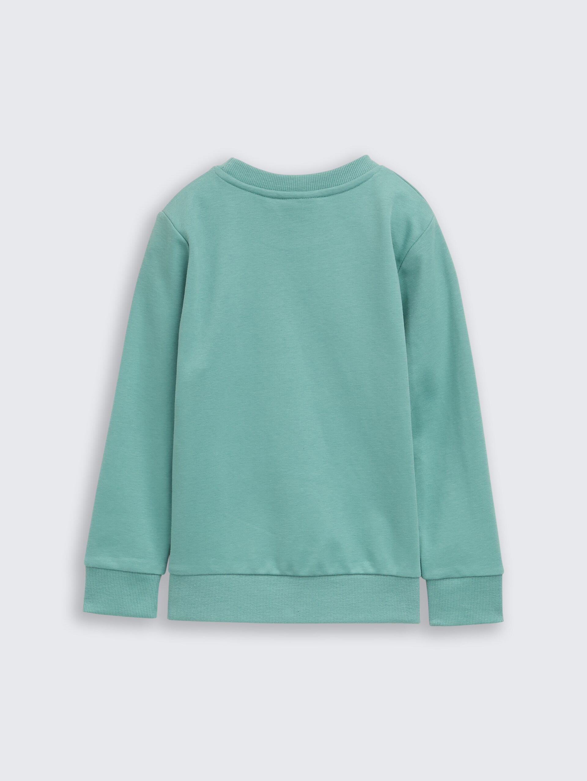 Basic Sweatshirt mit Print - Salvia