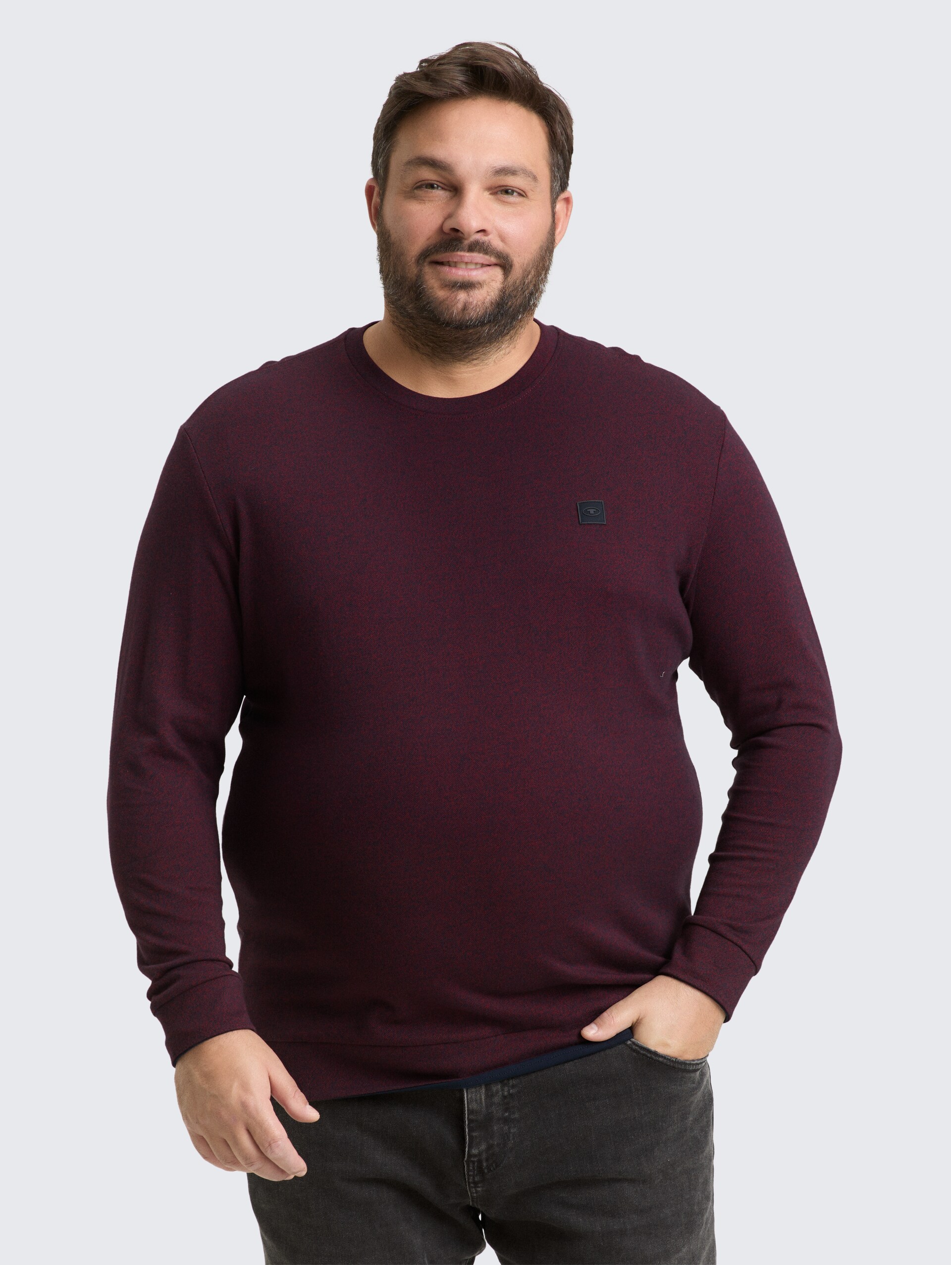 Plus Size - Langarmshirt mit Logo-Badge - red navy grindle structure - Ausschnitt Model-Vorderansicht