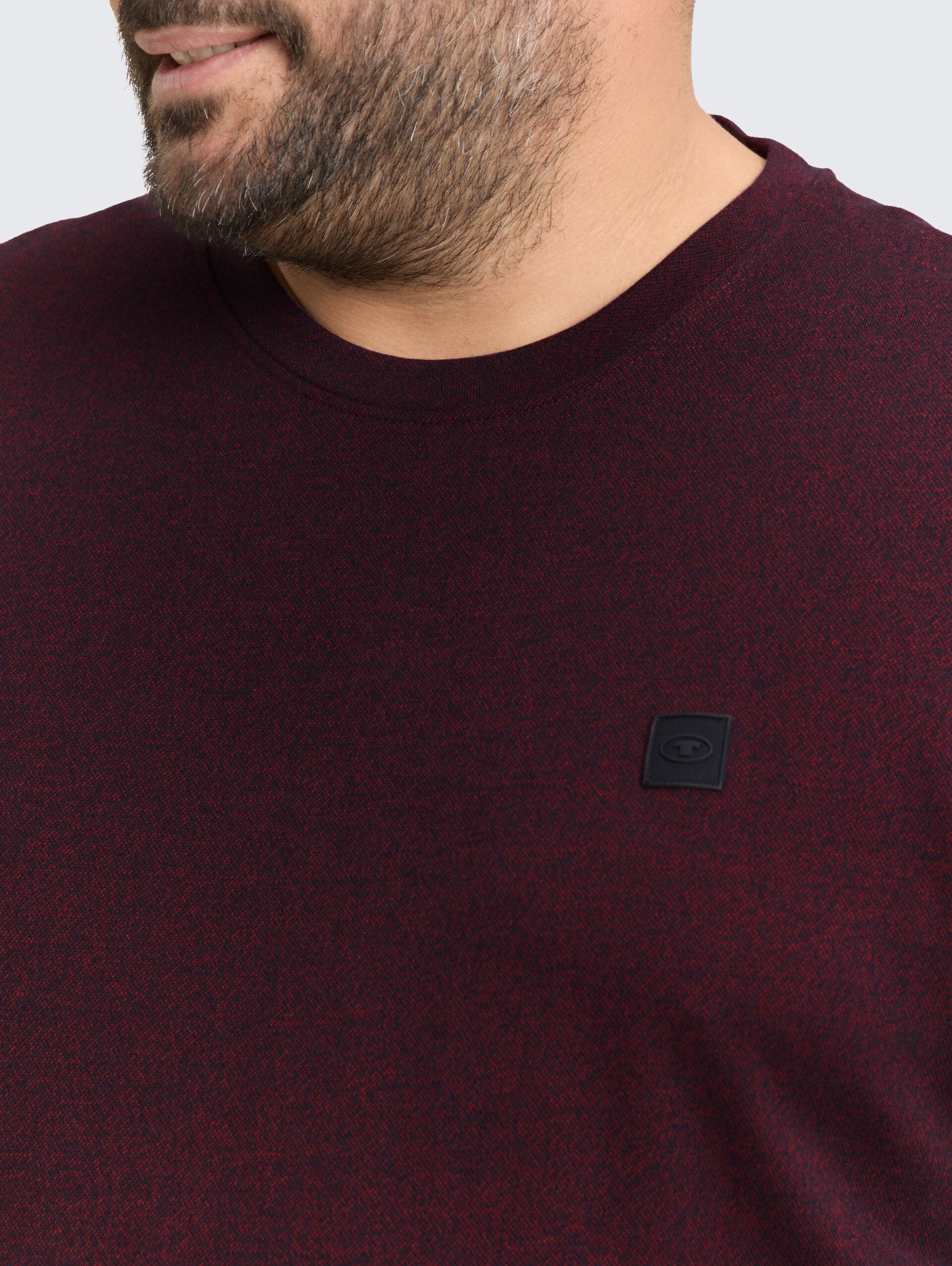 Plus Size - Langarmshirt mit Logo-Badge - red navy grindle structure - Detail-Model-Ansicht