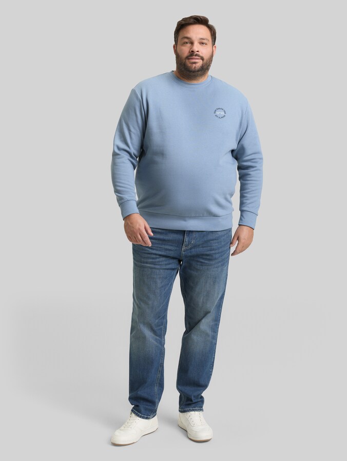 TOM TAILOR Uomini Plusize Basic Felpa con cappuccio