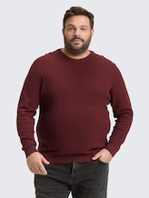 Plus Size - Pull en maille en coton - bordeaux melange - Découpe Vue de face du modèle