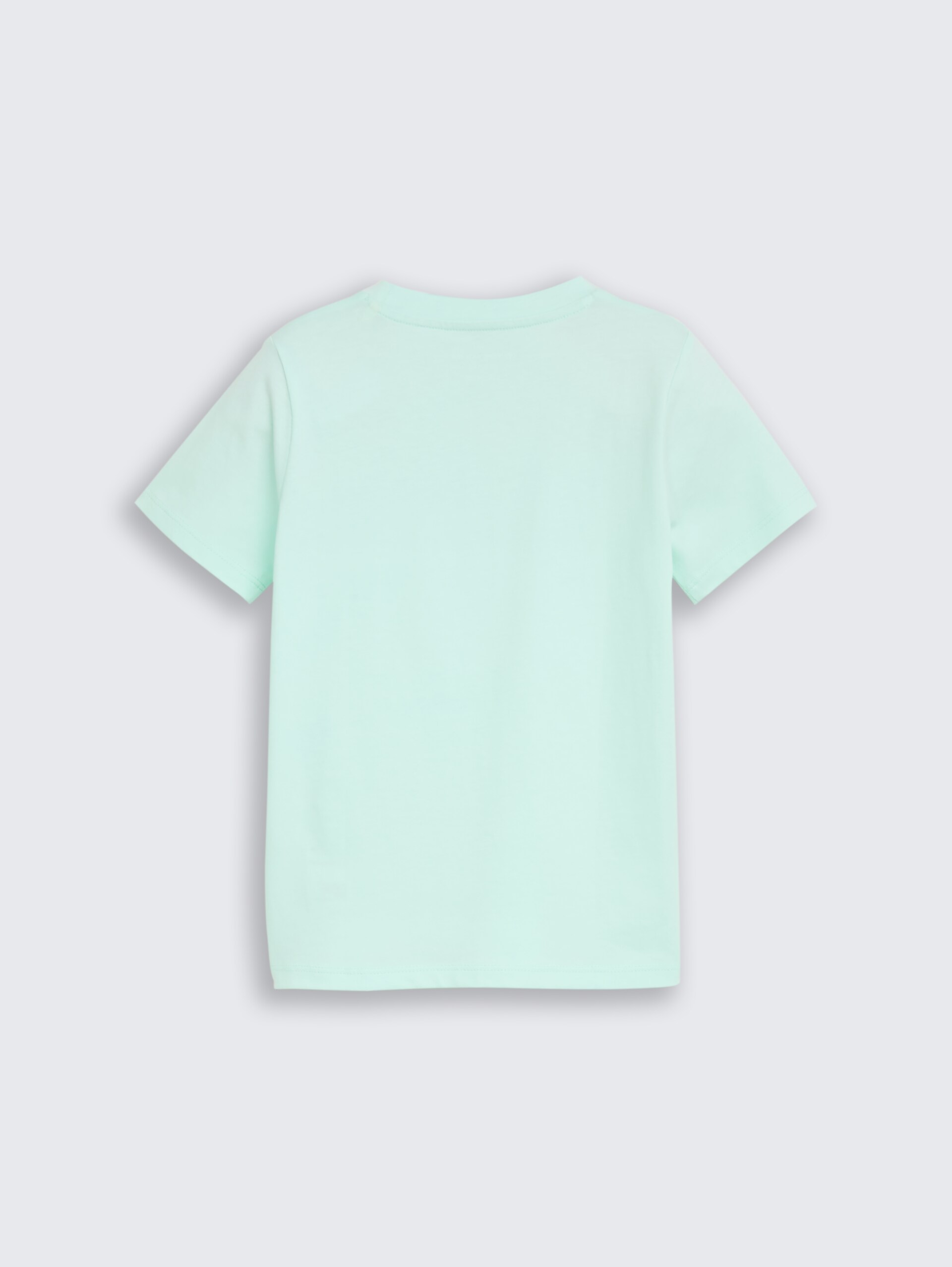 T-shirt met fotoprint - light bay green