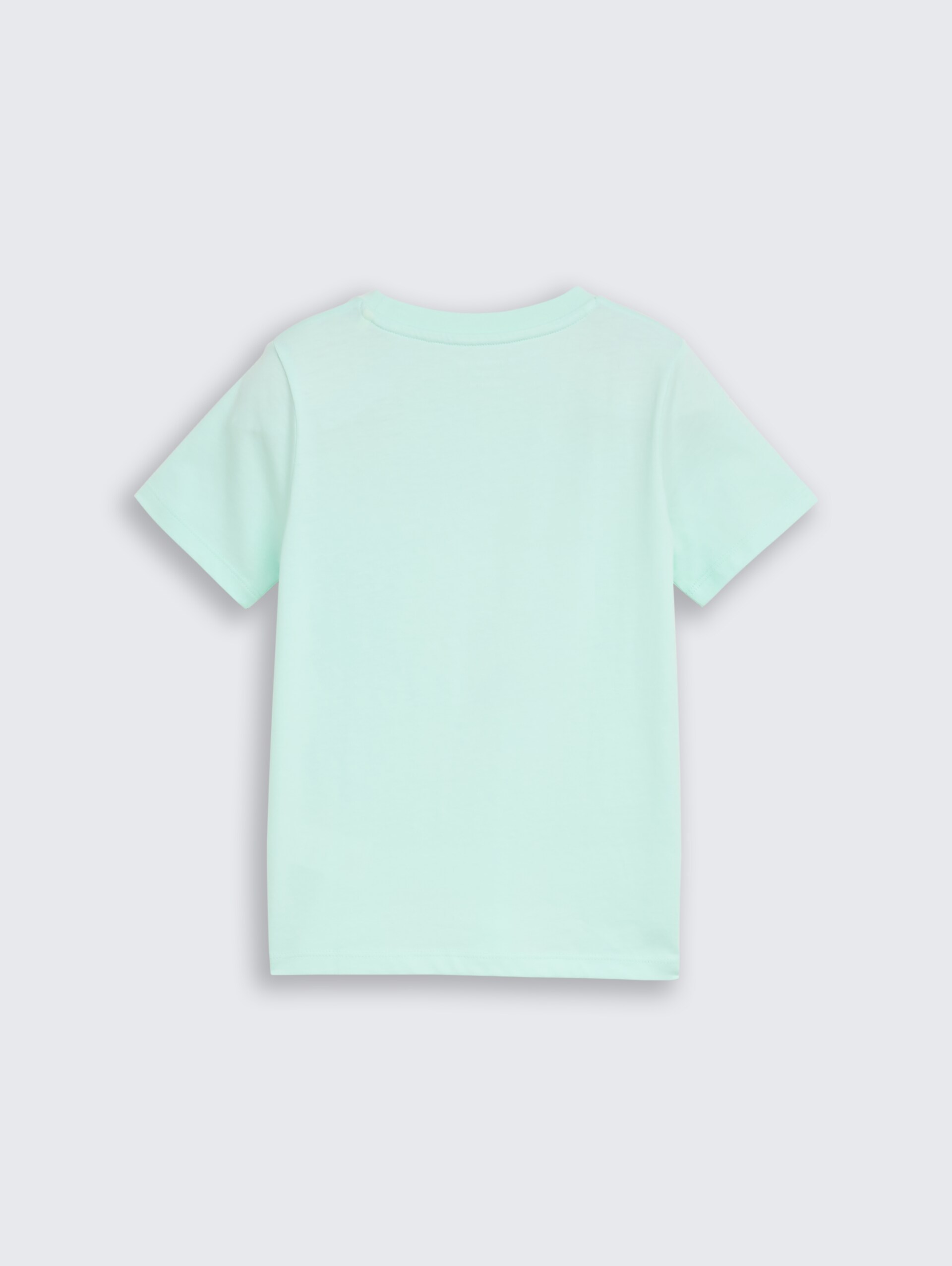 T-shirt met fotoprint - light bay green