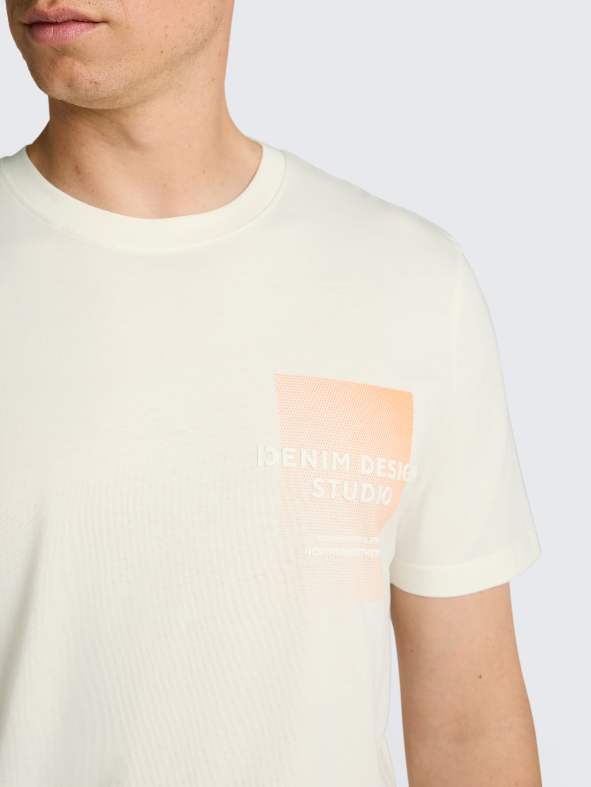 T-Shirt mit Print - Wool White - Detail-Model-Ansicht